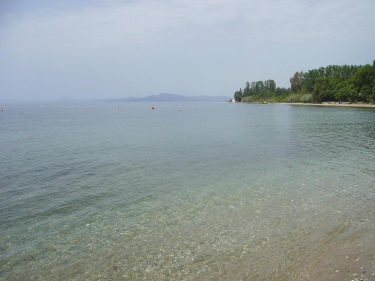 Blue Dream Koropi Pelion Milies South Pelion 아파트 외부 사진